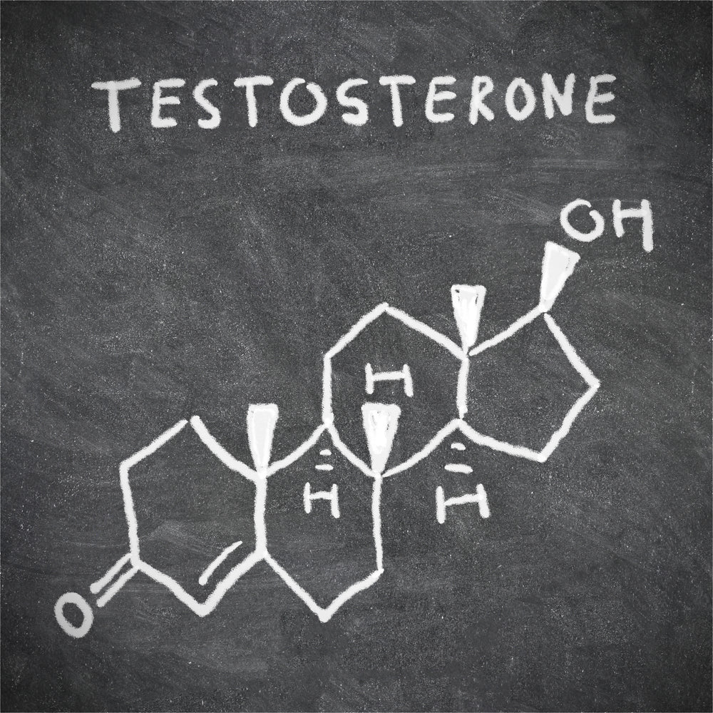 what-is-testosterone-good-for-and-how-can-vrox-help-you-vroxusa