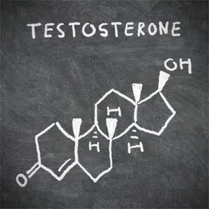 What Is Testosterone Good For And How Can vRox Help You